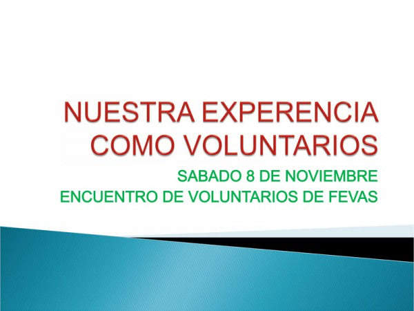 ECOS DE USUARIOS: NUESTRA VISIÓN DEL II ENCUENTRO DE VOLUNTARIADO FEVAS