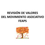 APDEMA; Participación en la revisión de valores del movimiento asociativo de FEAPS.