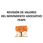 APDEMA; Participación en la revisión de valores del movimiento asociativo de FEAPS.